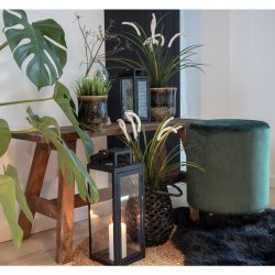  Star 90 cm bnk i teaktr