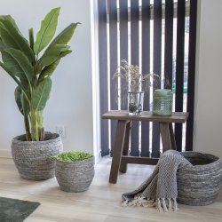 Star 50 cm bnk i teaktr